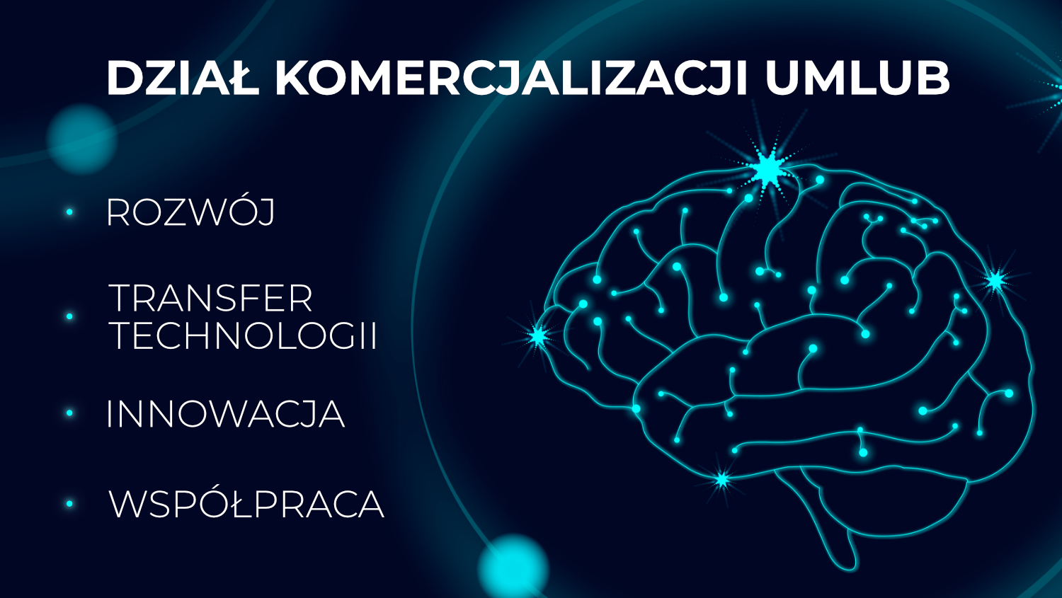 mapa myśli - dział komercjalizacji, grafika mózgu